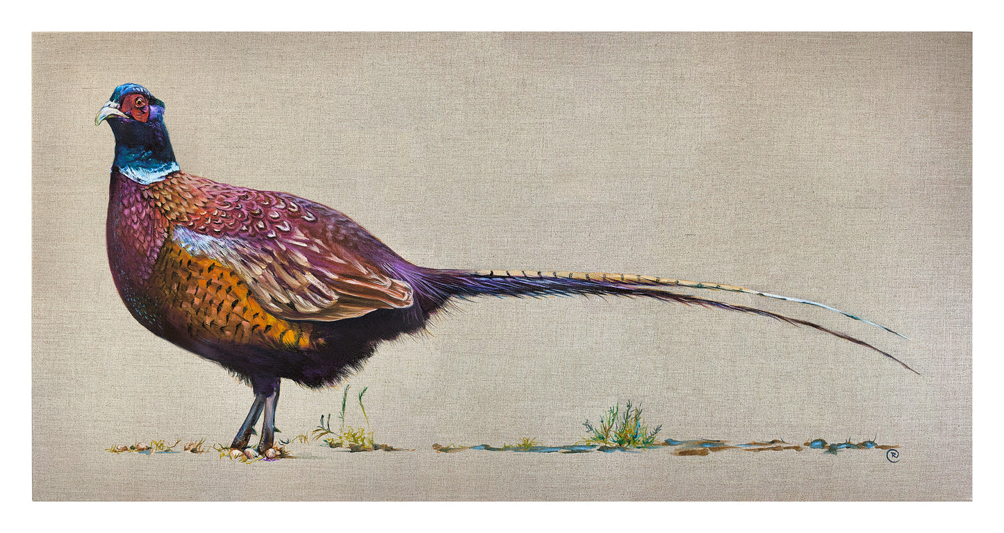 Pheasant