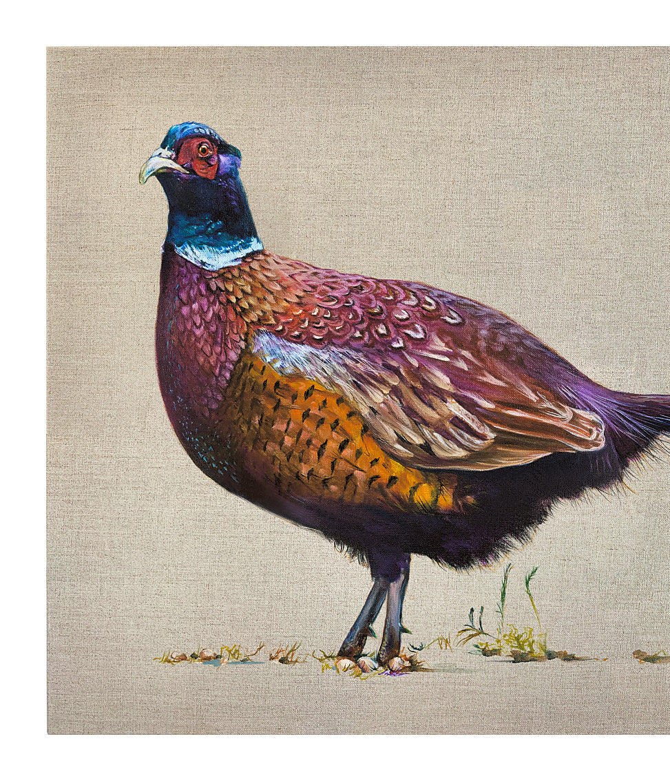 Pheasant